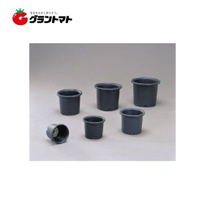 ニュー菊鉢 8号 国華園 | グラントマトオンラインショップ