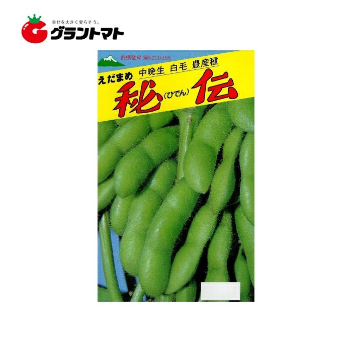 秘伝枝豆 40ml 中晩生 白毛 農産種 佐藤政行 | グラントマトオンライン