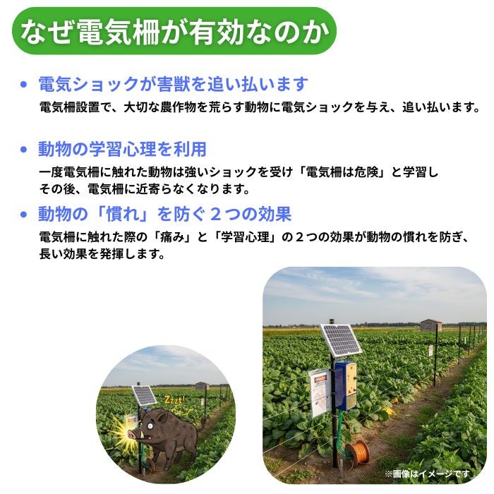 家庭菜園用電柵 SP-2013SR ソーラー 100mセット アポロ