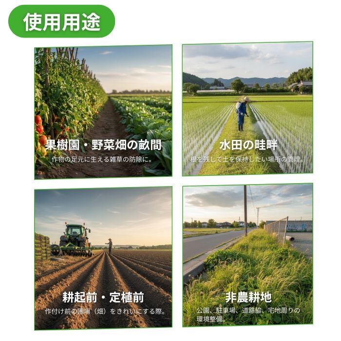 使用シーン