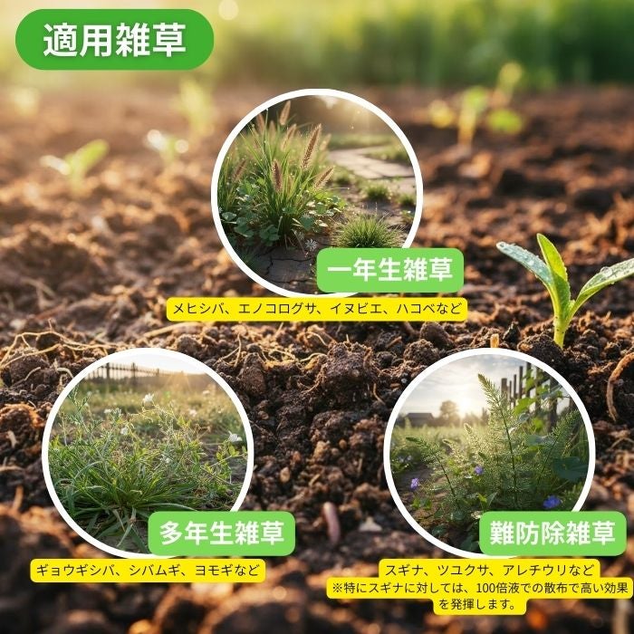 適用雑草