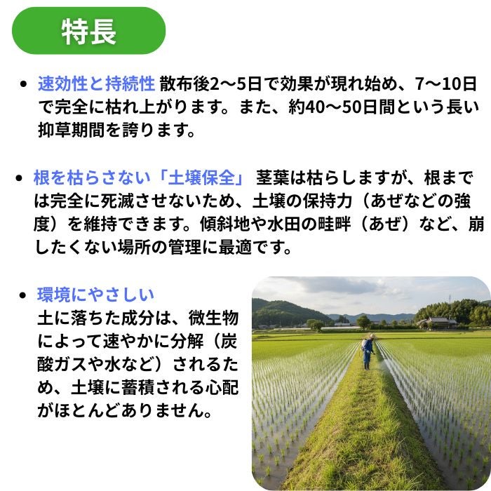 特長