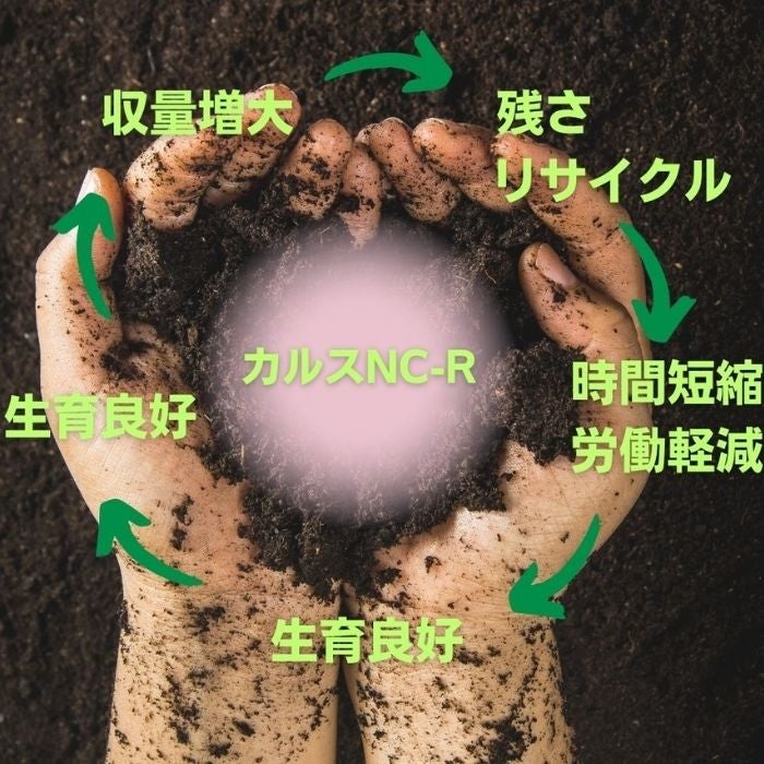 商品情報