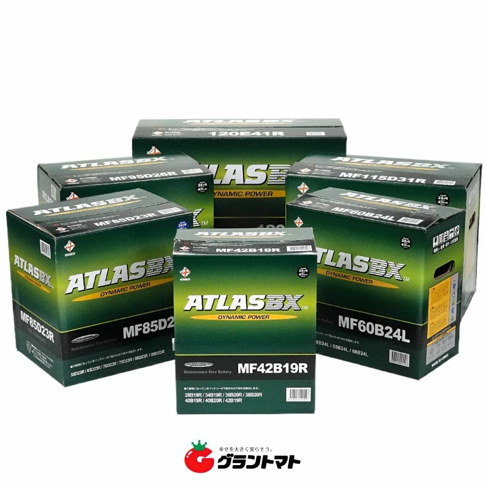 ATLASBX MF 国産車バッテリー Dynamic Power AT アトラス | グラン