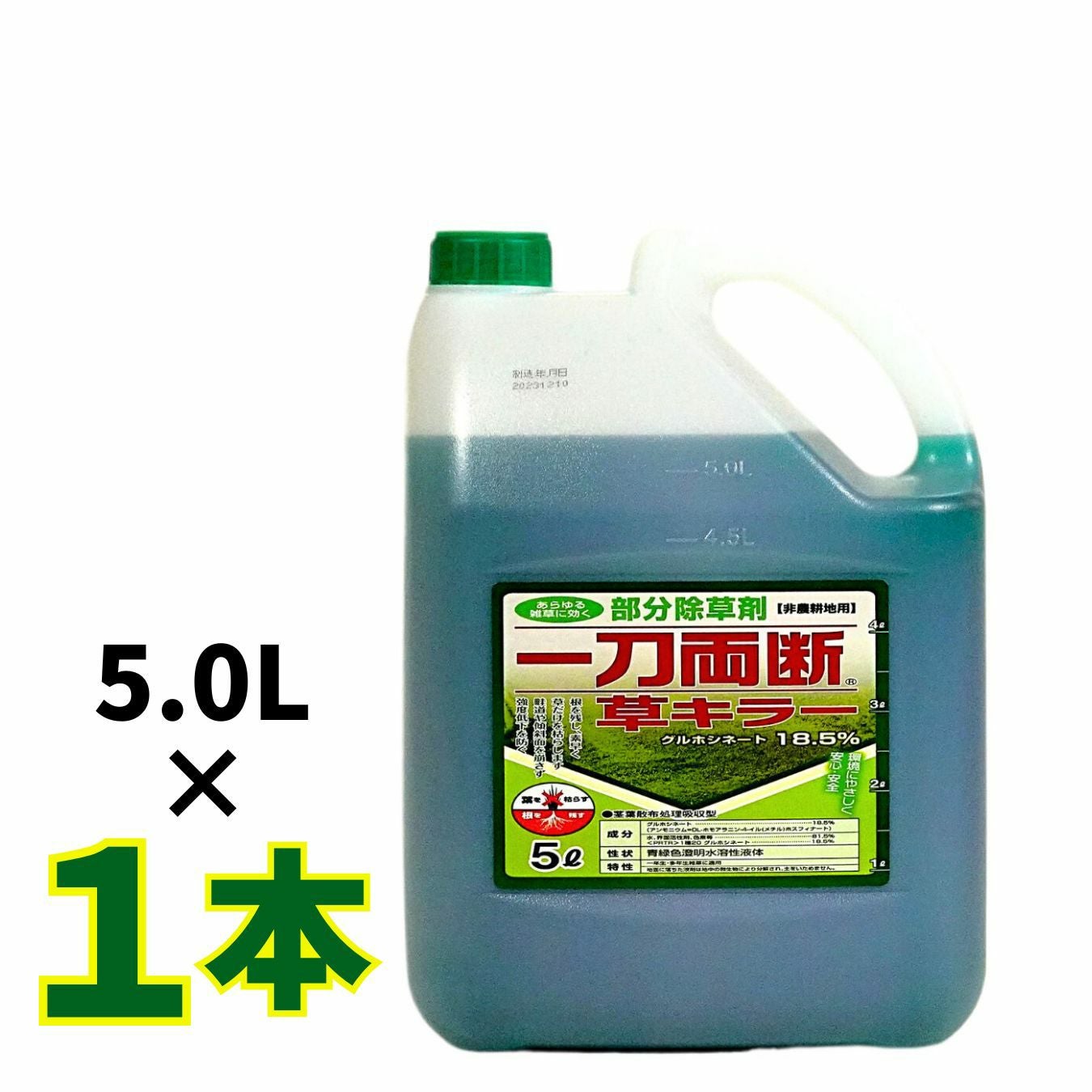 朝霧草さん専用 ノーマルカード以外 園芸ネット本店｜アサギリソウ（朝霧草）：黄金アサギリソウ 2.5-3.5号